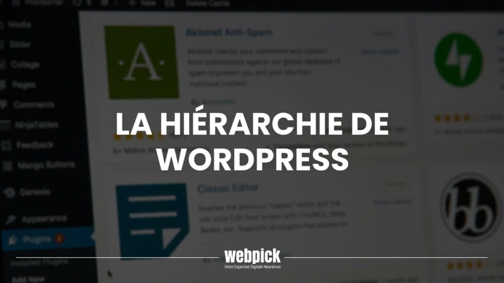 La Hiérarchie de WordPress